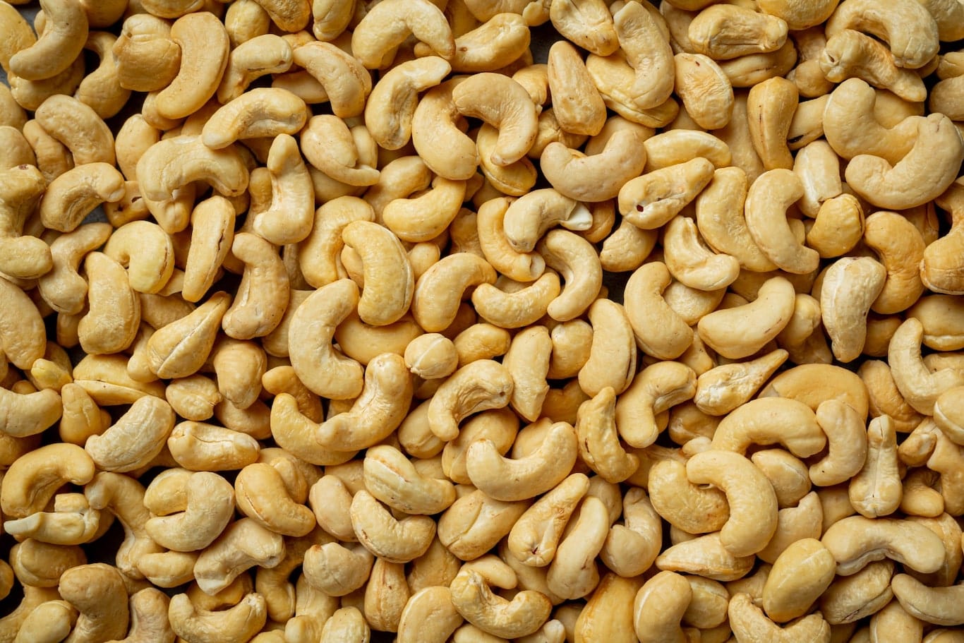 The Cashew Conundrum Mighty Earth The Cashew Conundrum Mighty Earth
