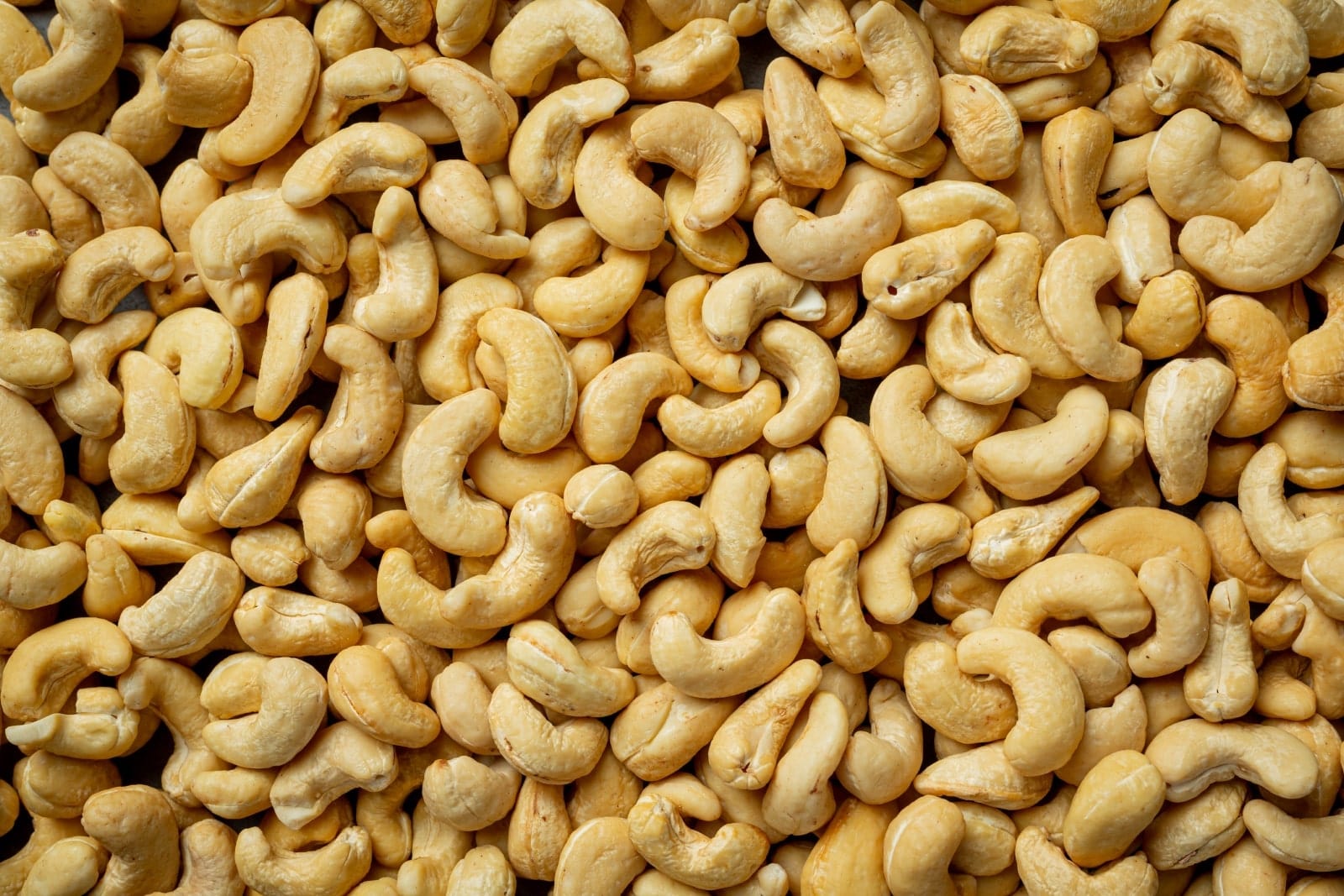 The Cashew Conundrum Mighty Earth The Cashew Conundrum Mighty Earth